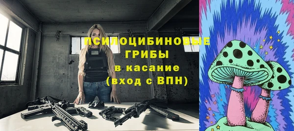 стаф Белокуриха