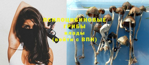 стаф Белокуриха