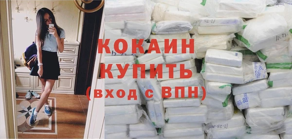 стаф Белокуриха