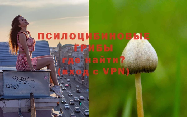 мяу мяу мука Слюдянка