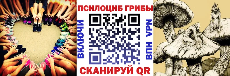 как найти   Жиздра  Галлюциногенные грибы мухоморы 